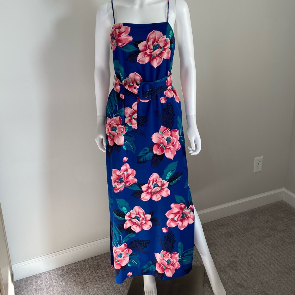BNWT Banana Republic Dress